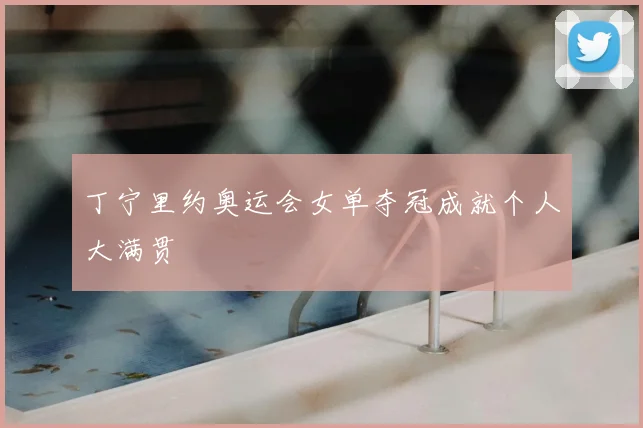 丁宁里约奥运会女单夺冠成就个人大满贯