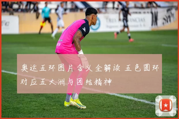 奥运五环图片含义全解读 五色圆环对应五大洲与团结精神