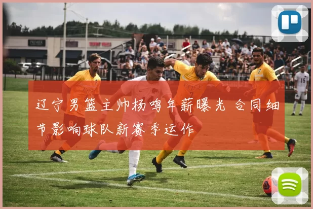 辽宁男篮主帅杨鸣年薪曝光 合同细节影响球队新赛季运作